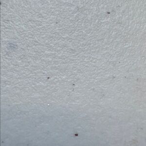 Louis Vuitton boxes a total, four various sizes make an offer for just the boxes